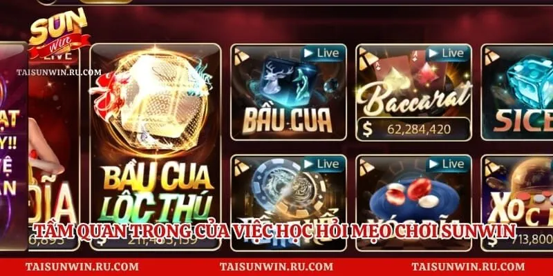 Tầm quan trọng của việc học hỏi mẹo chơi sunwin săn thưởng